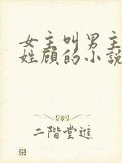 女主叫男主叔叔姓顾的小说