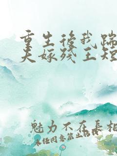 重生后我踹掉渣夫嫁残王短剧免费观看