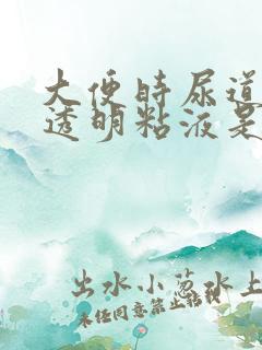 大便时尿道口有透明粘液是怎么回事