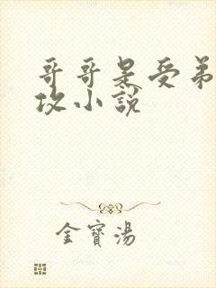 哥哥是受弟弟是攻小说