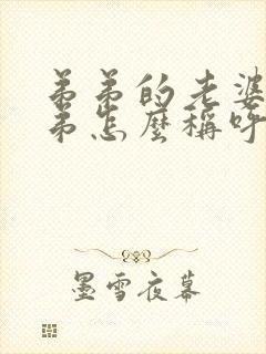 弟弟的老婆的弟弟怎么称呼