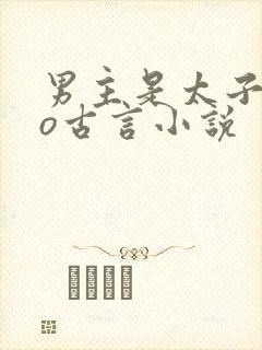 男主是太子的po古言小说