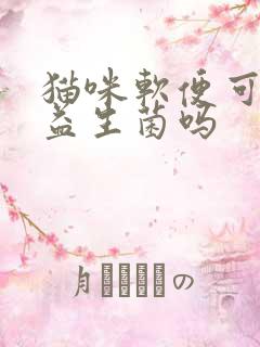 猫咪软便可以吃益生菌吗