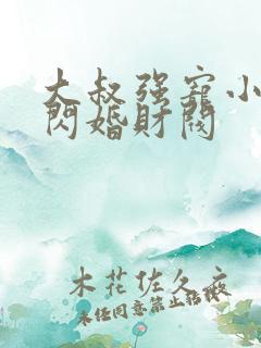 大叔强宠小娇妻闪婚财阀