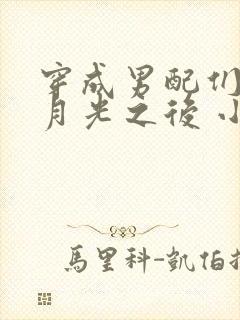 穿成男配们的白月光之后 小说