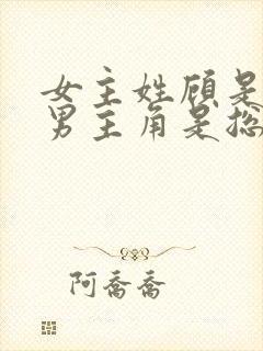 女主姓顾是律师男主角是总裁