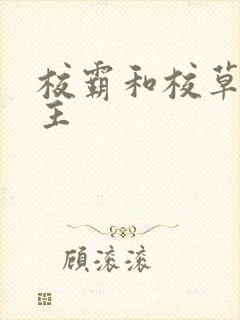 校霸和校草双男主