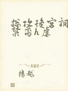 总攻后宫调教成禁脔h虐