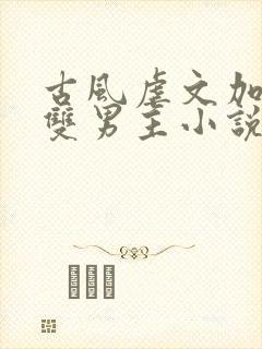 古风虐文加虐身双男主小说