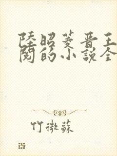 陆昭菱晋王周时阅的小说全文免费阅读