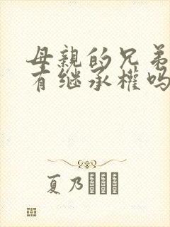 母亲的兄弟姐妹有继承权吗