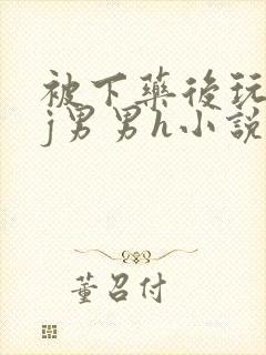 被下药后玩弄迷j男男h小说