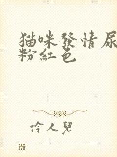 猫咪发情尿里带粉红色