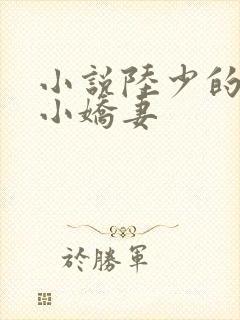 小说陆少的替嫁小娇妻