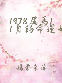 1978属马11月的命运如何