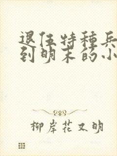 退伍特种兵穿越到明末的小说