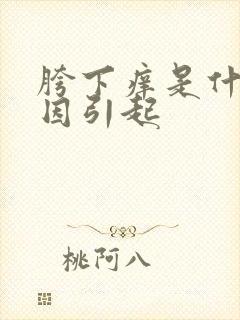 胯下痒是什么原因引起