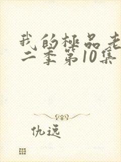 我的极品老婆第二季第10集