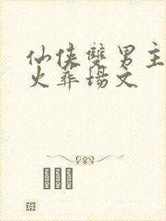 仙侠双男主追妻火葬场文