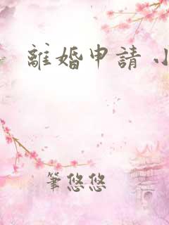离婚申请 小说