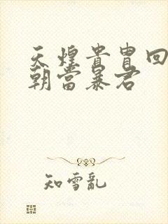 天煌贵胄回到明朝当暴君