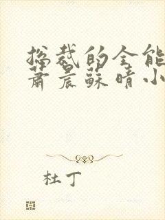 总裁的全能兵王萧晨苏晴小说