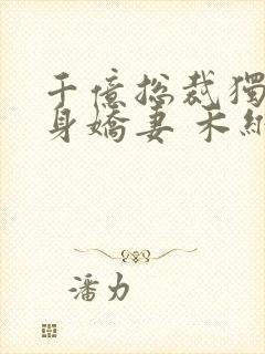 千亿总裁独宠替身娇妻 禾维