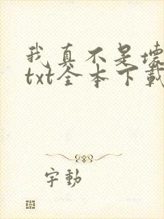 我真不是坏男人txt全本下载