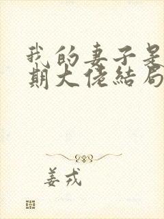 我的妻子是大乘期大佬结局