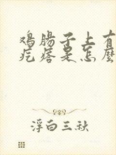 鸡肠子上有白色疙瘩是怎么回事