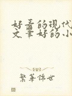 好看的现代言情文笔好的小说