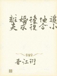 离婚后他追着前夫求复合小说