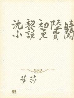 沈黎初陆时霁的小说免费阅读全文