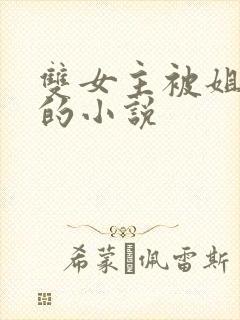 双女主被姐姐揍的小说