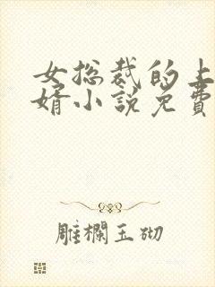 女总裁的上门龙婿小说免费