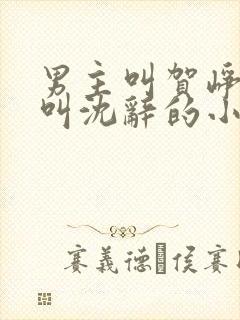 男主叫贺峥女主叫沈辞的小说