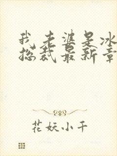 我老婆是冰山女总裁最新章节小说