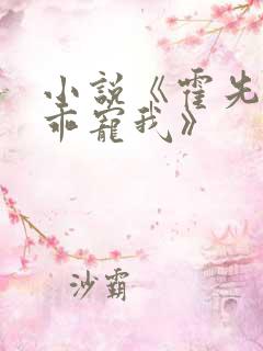 小说《霍先生乖乖宠我》