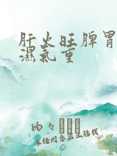 肝火旺脾胃虚弱湿气重