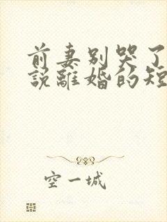 前妻别哭了是你说离婚的短剧免费观看