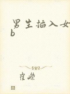 男生插入女生bb