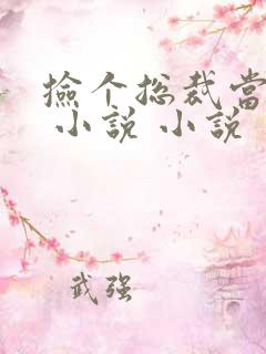 捡个总裁当老婆 小说 小说