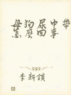 母狗尿中带血是怎么回事