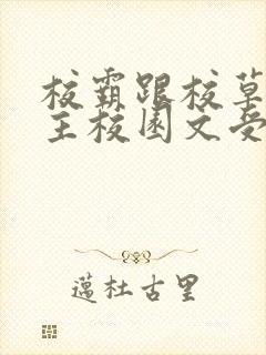 校霸跟校草双男主校园文受是双儿的