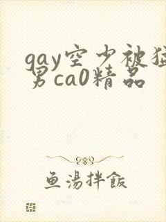 gay空少被猛男ca0精品