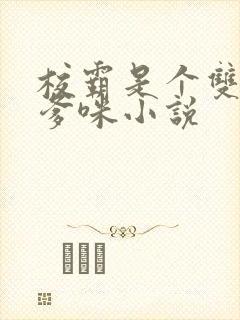 校霸是个双by爹咪小说