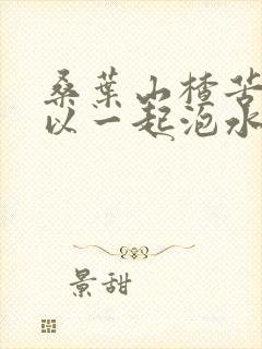 桑叶山楂苦瓜可以一起泡水喝吗