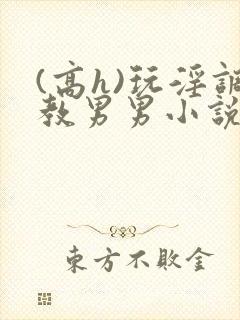 (高h)玩淫调教男男小说小说