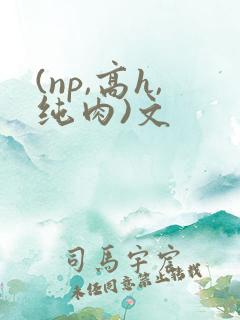 (np,高h,纯肉)文