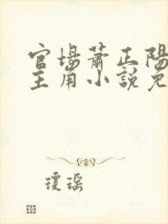 官场萧正阳李冰主角小说免费阅读